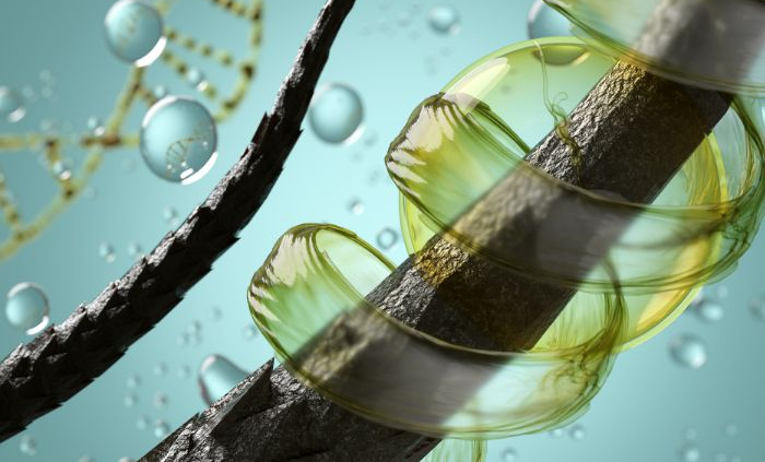 Hair follicle decline study